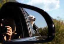 Jak wybrać wideorejestrator samochodowy: przód i tył, tryb parkingowy oraz zasilanie Jak wybrać wideorejestrator samochodowy: przód i tył, tryb parkingowy oraz zasilanie
