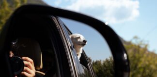 Jak wybrać wideorejestrator samochodowy: przód i tył, tryb parkingowy oraz zasilanie
